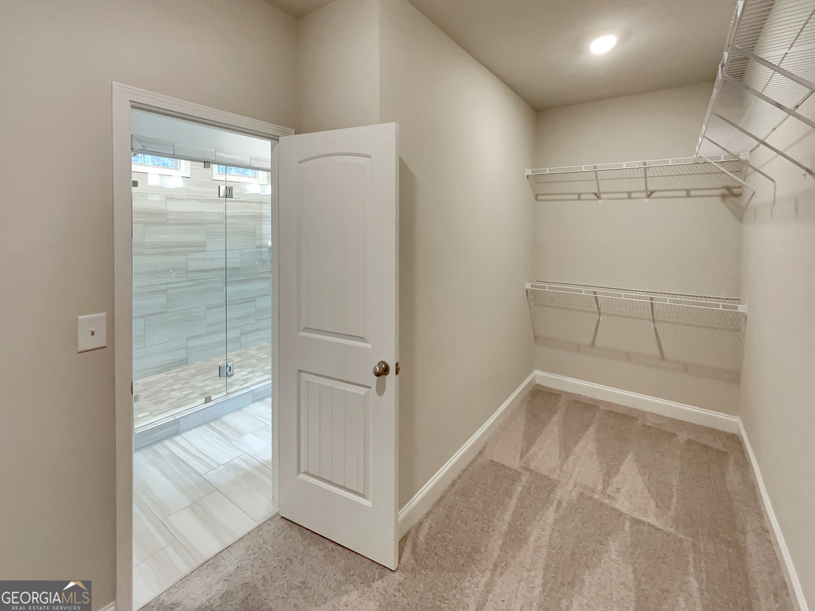 218 Morris Creek Drive Hoschton - Photo 48