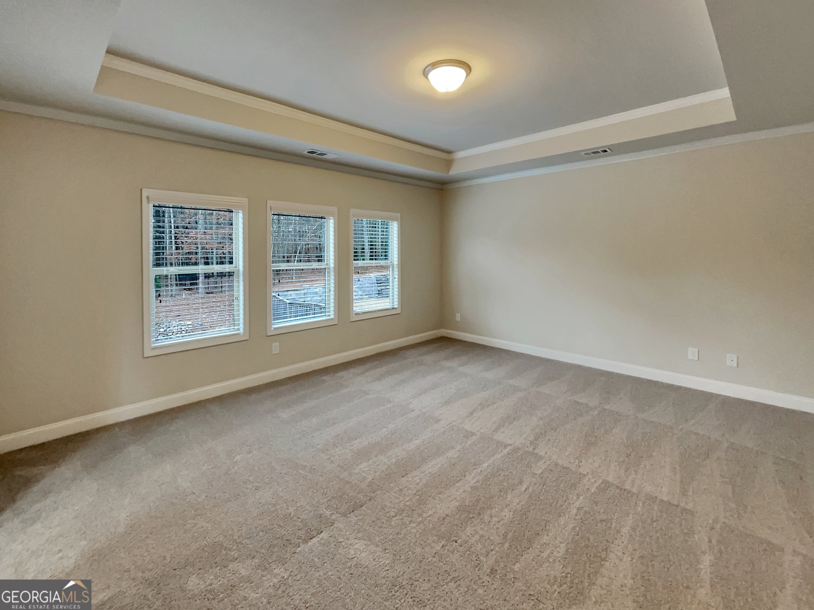 218 Morris Creek Drive Hoschton - Photo 50