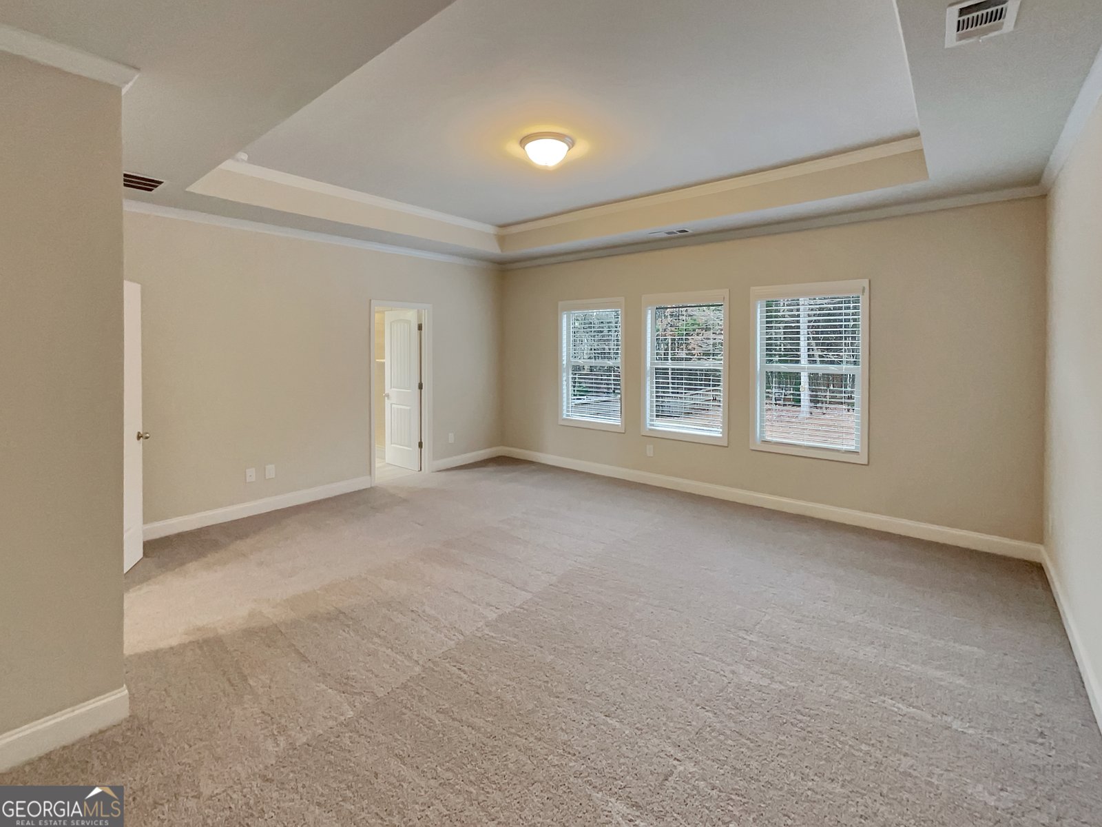 218 Morris Creek Drive Hoschton - Photo 51