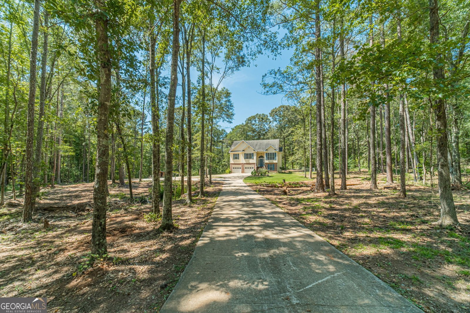 246 Azalea Farms Road Social Circle - Photo 1