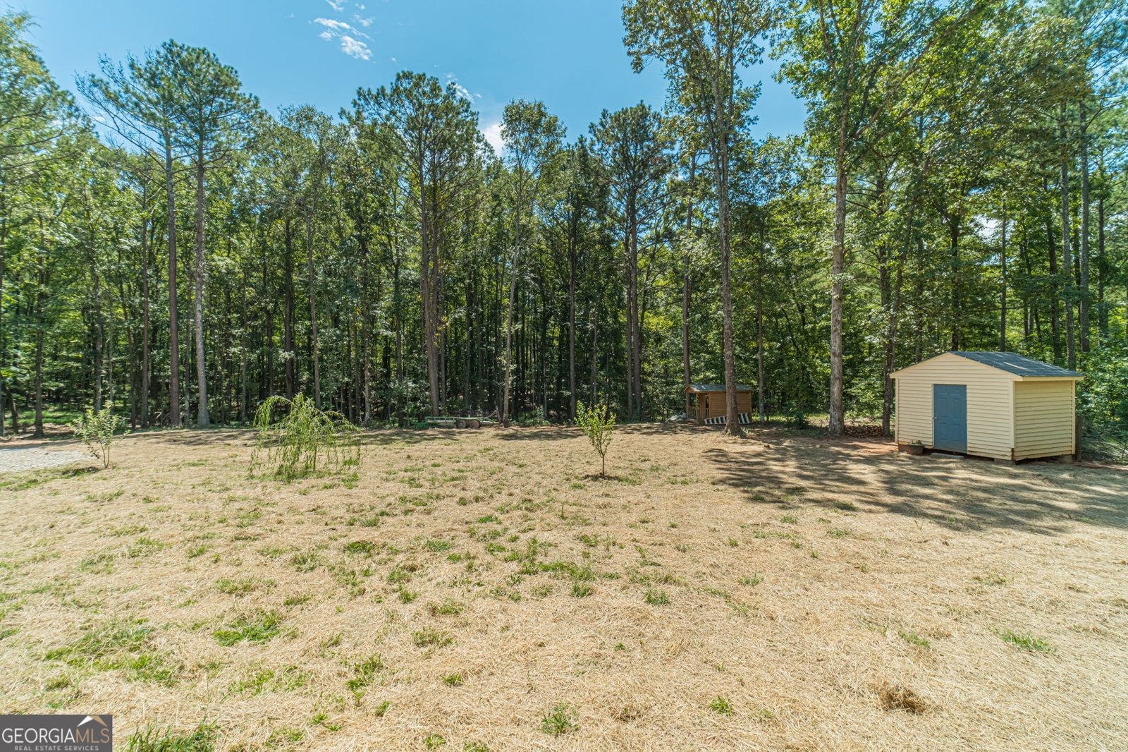 246 Azalea Farms Road Social Circle - Photo 37