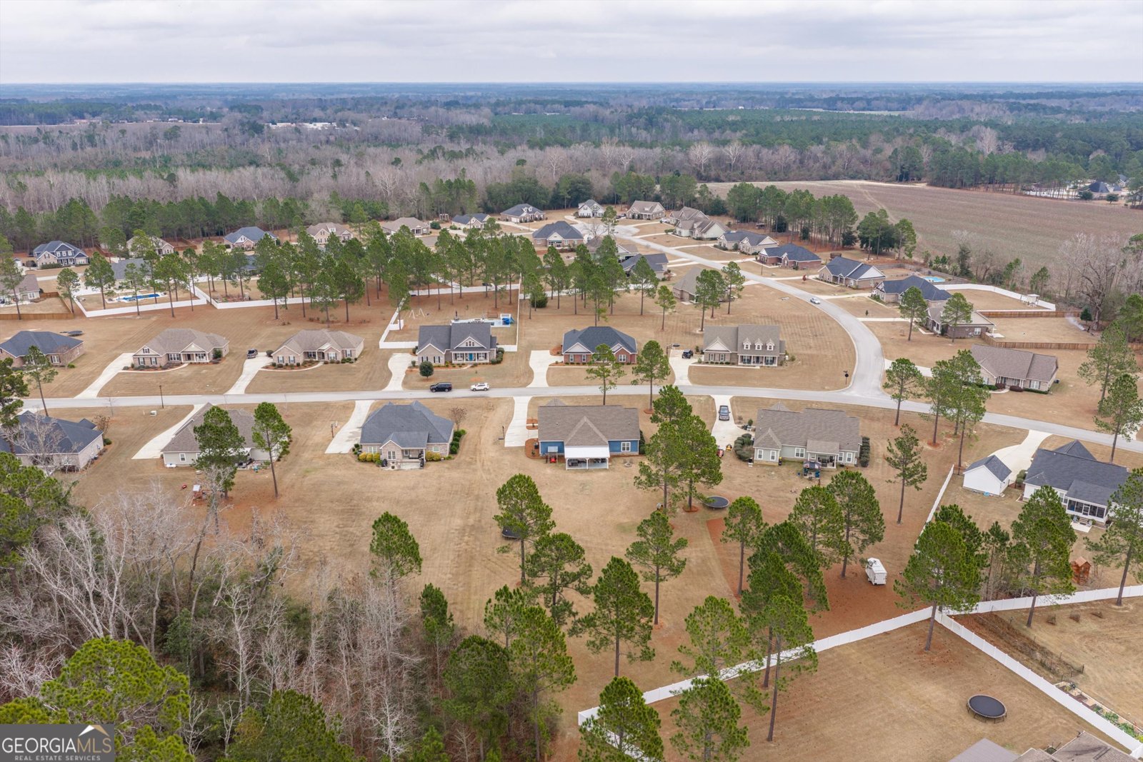 2041 Pippin Place Statesboro - Photo 44