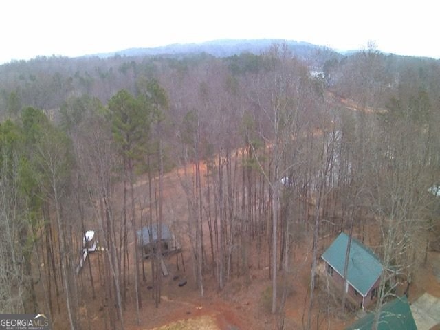 410 Lakeside Hills Road Martin - Photo 39