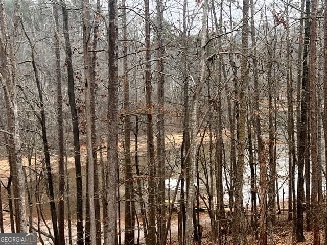 410 Lakeside Hills Road Martin - Photo 47