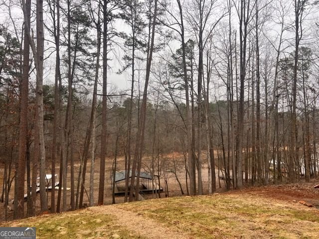 410 Lakeside Hills Road Martin - Photo 48