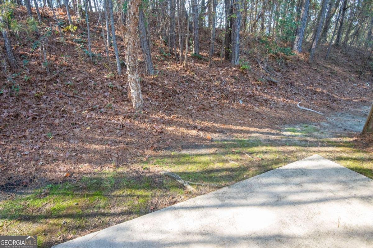 1259 Chinon Point Lithonia - Photo 26