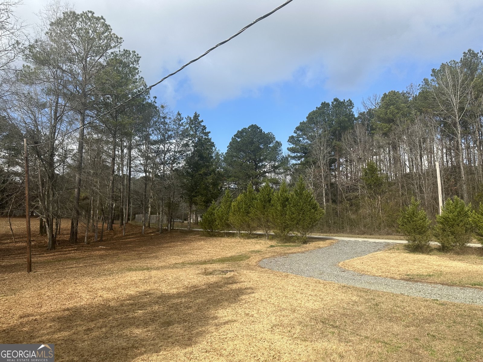 969 Flowers Road Molena - Photo 11