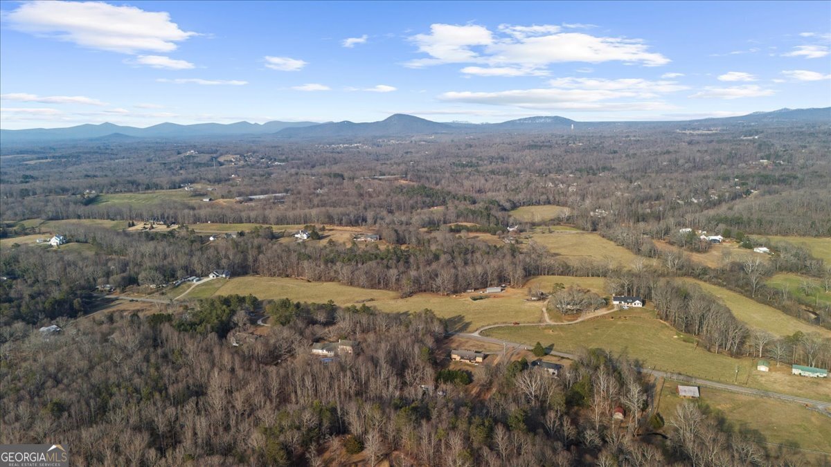 4543 Fawn Path Gainesville - Photo 88