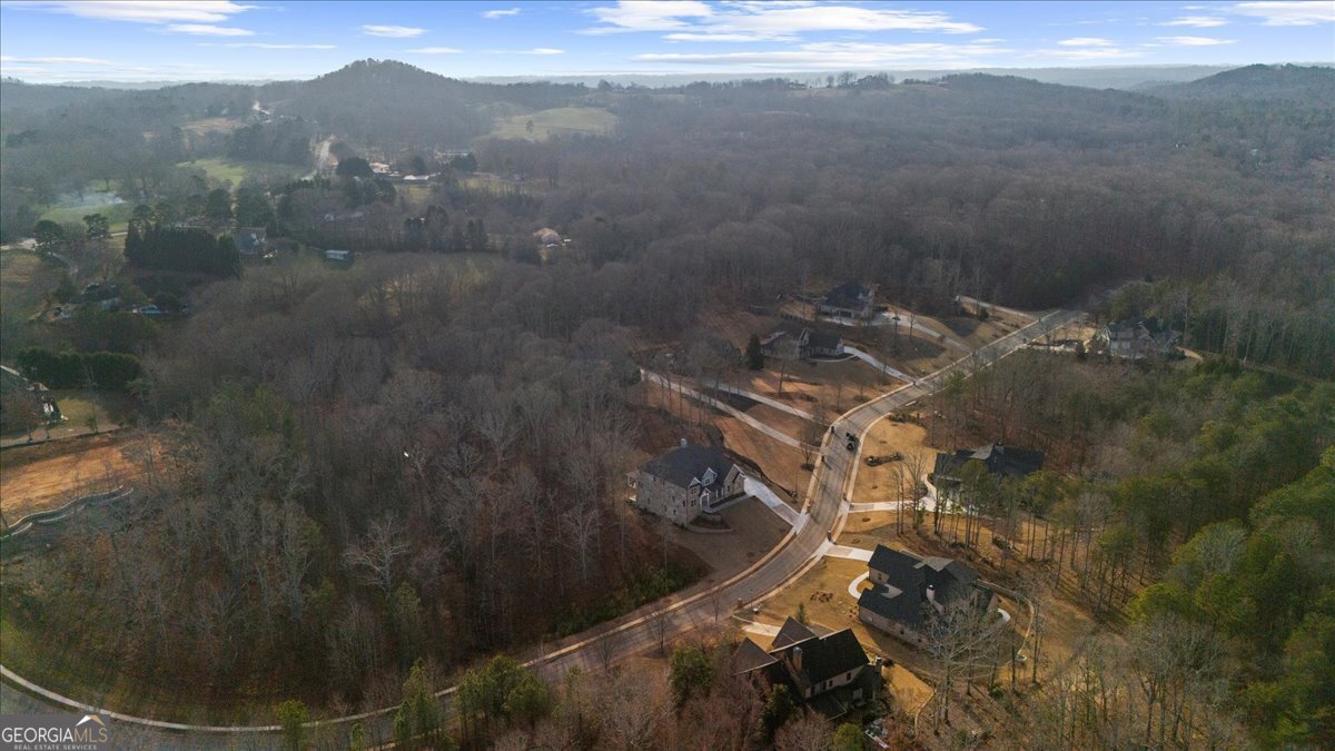 4543 Fawn Path Gainesville - Photo 89