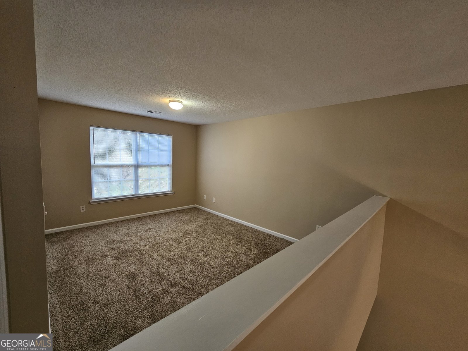 208 Lossie Lane McDonough - Photo 24