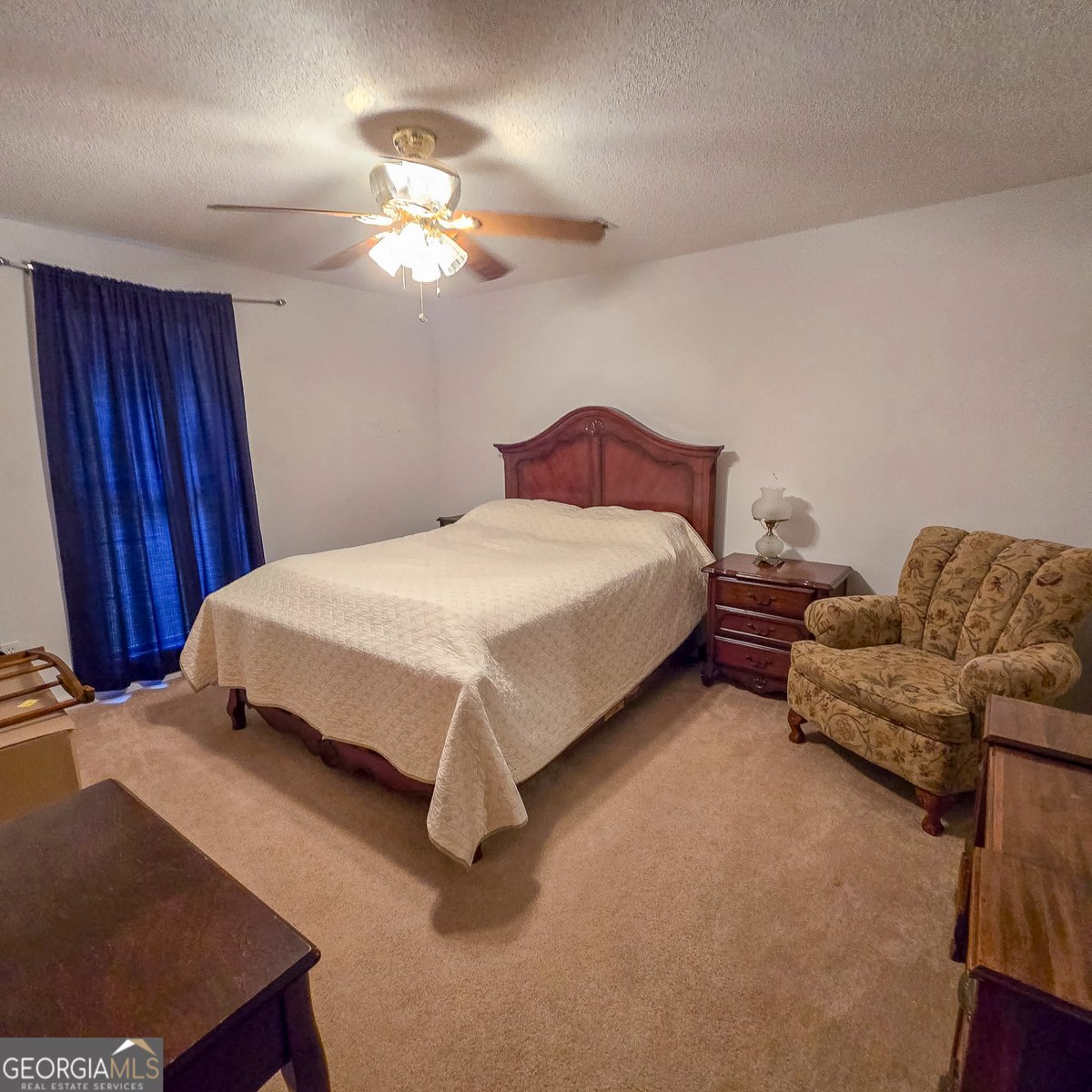 2700 Ga Hwy 355 Buena Vista - Photo 7