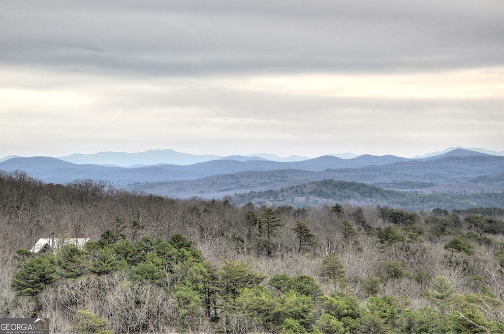 467 Deer Crest Road Blue Ridge - Photo 47