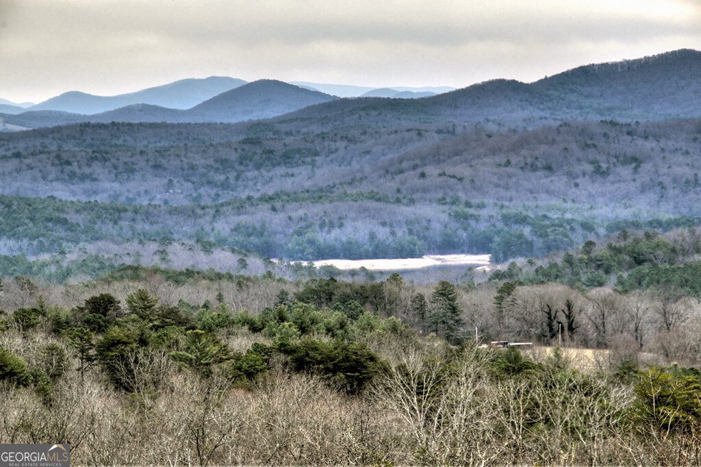 467 Deer Crest Road Blue Ridge - Photo 48