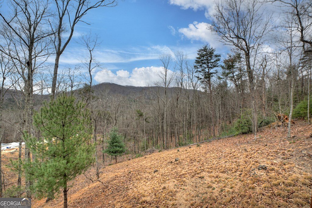 467 Deer Crest Road Blue Ridge - Photo 54