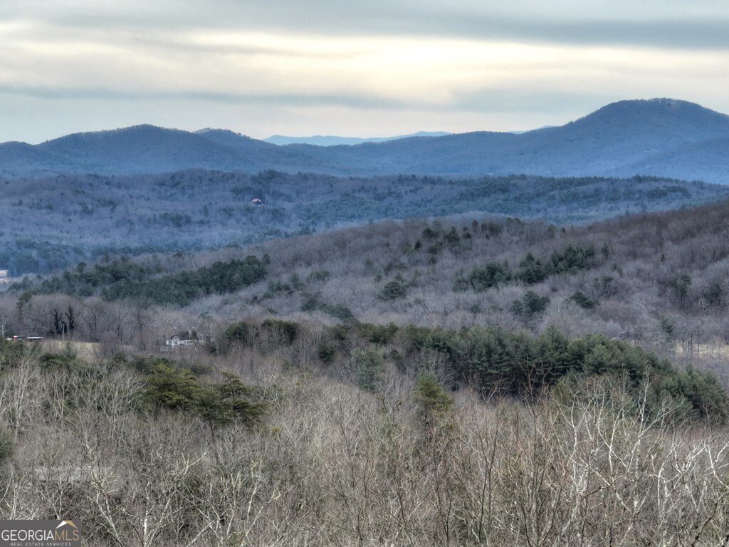 467 Deer Crest Road Blue Ridge - Photo 69