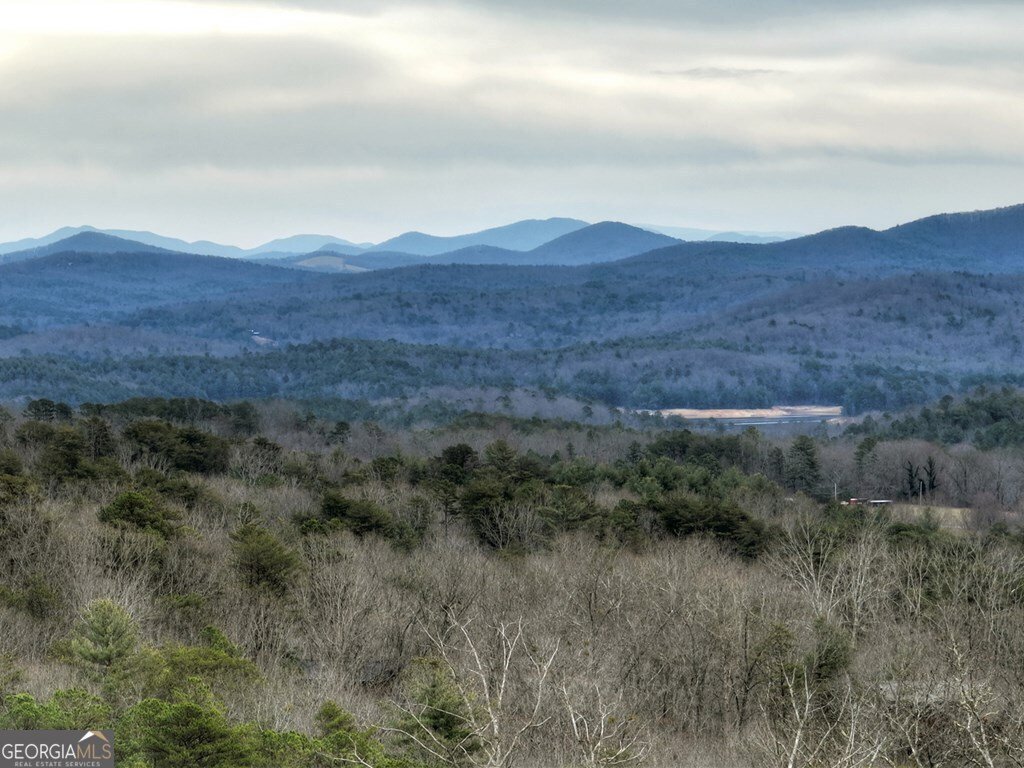 467 Deer Crest Road Blue Ridge - Photo 70