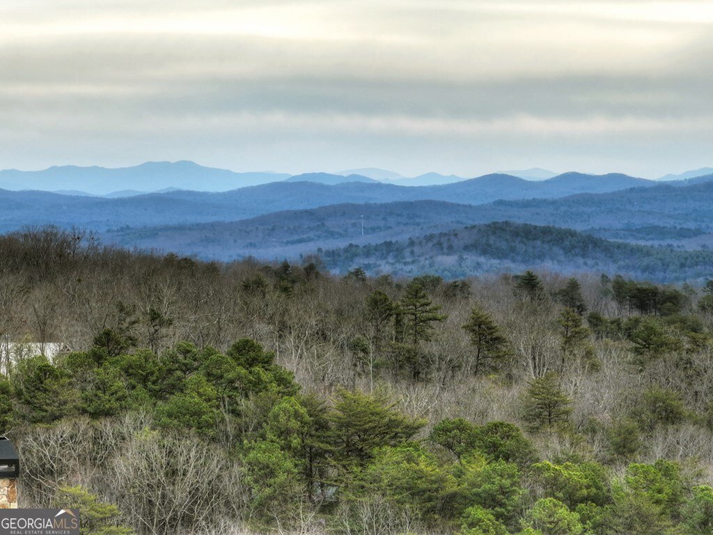 467 Deer Crest Road Blue Ridge - Photo 71