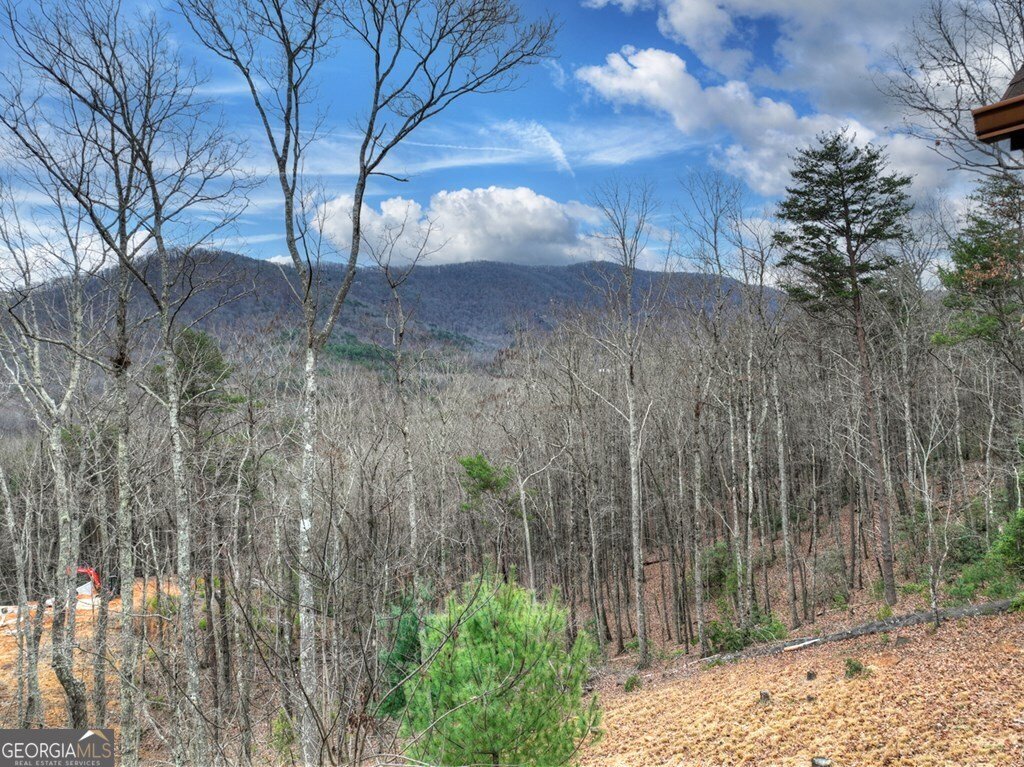 467 Deer Crest Road Blue Ridge - Photo 73
