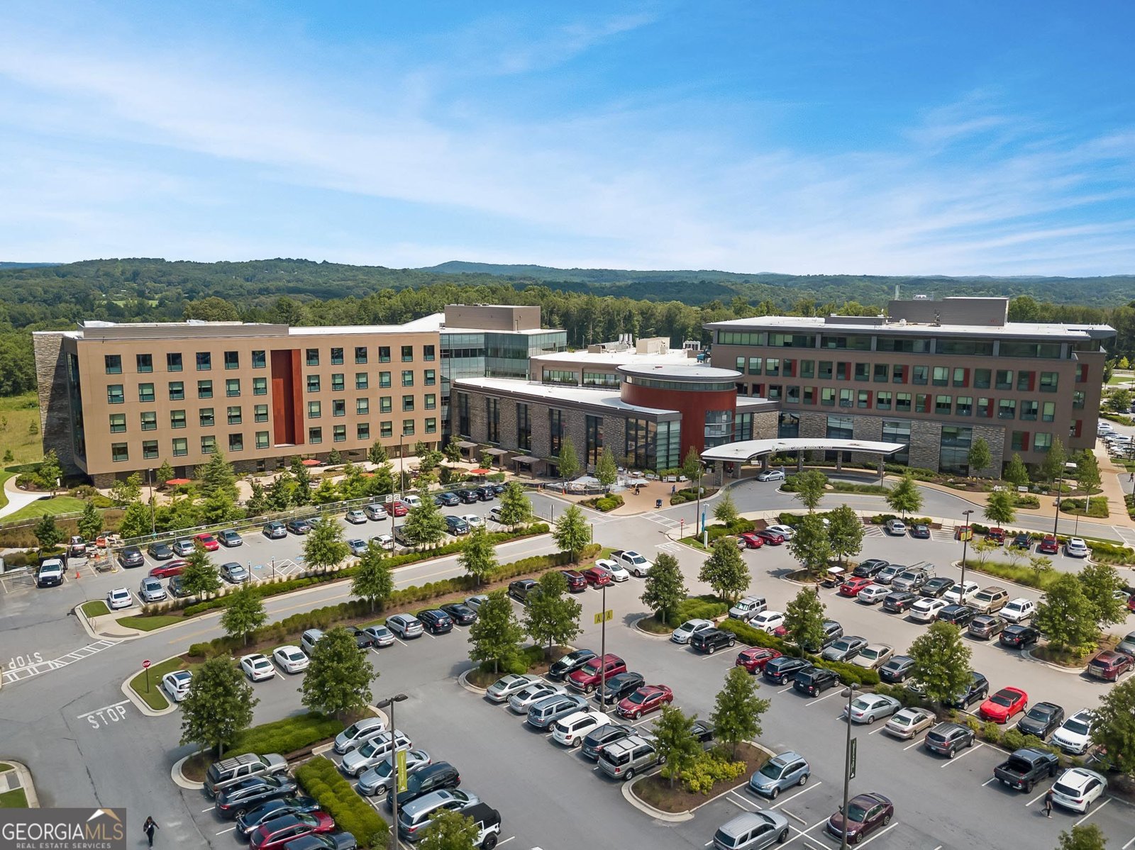 125 Scarlett Pippin Drive Clarkesville - Photo 49