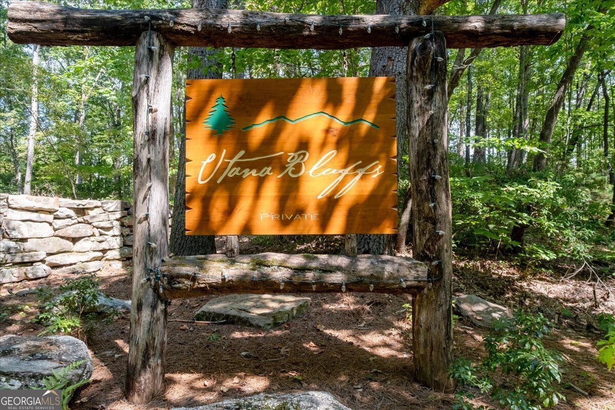 207 Utana Bluffs Trail Ellijay - Photo 86