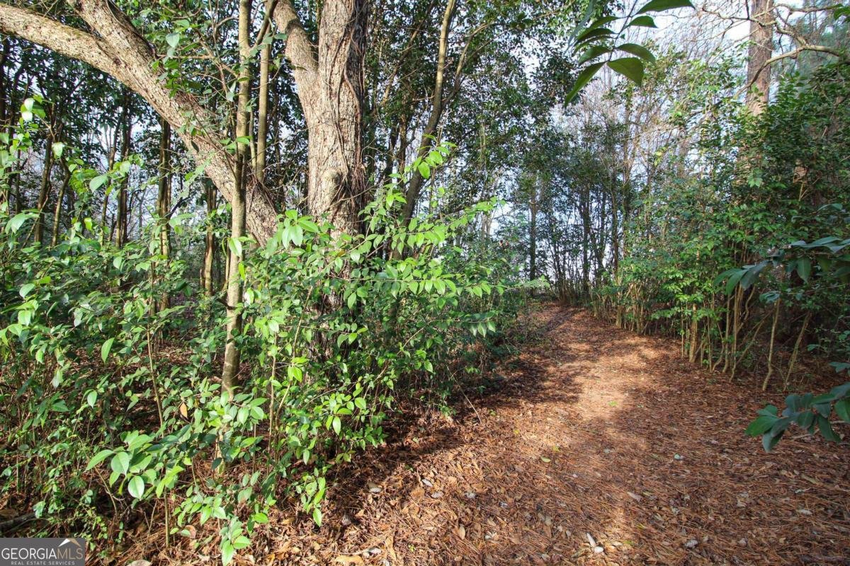 921 Highway 72 Comer - Photo 54