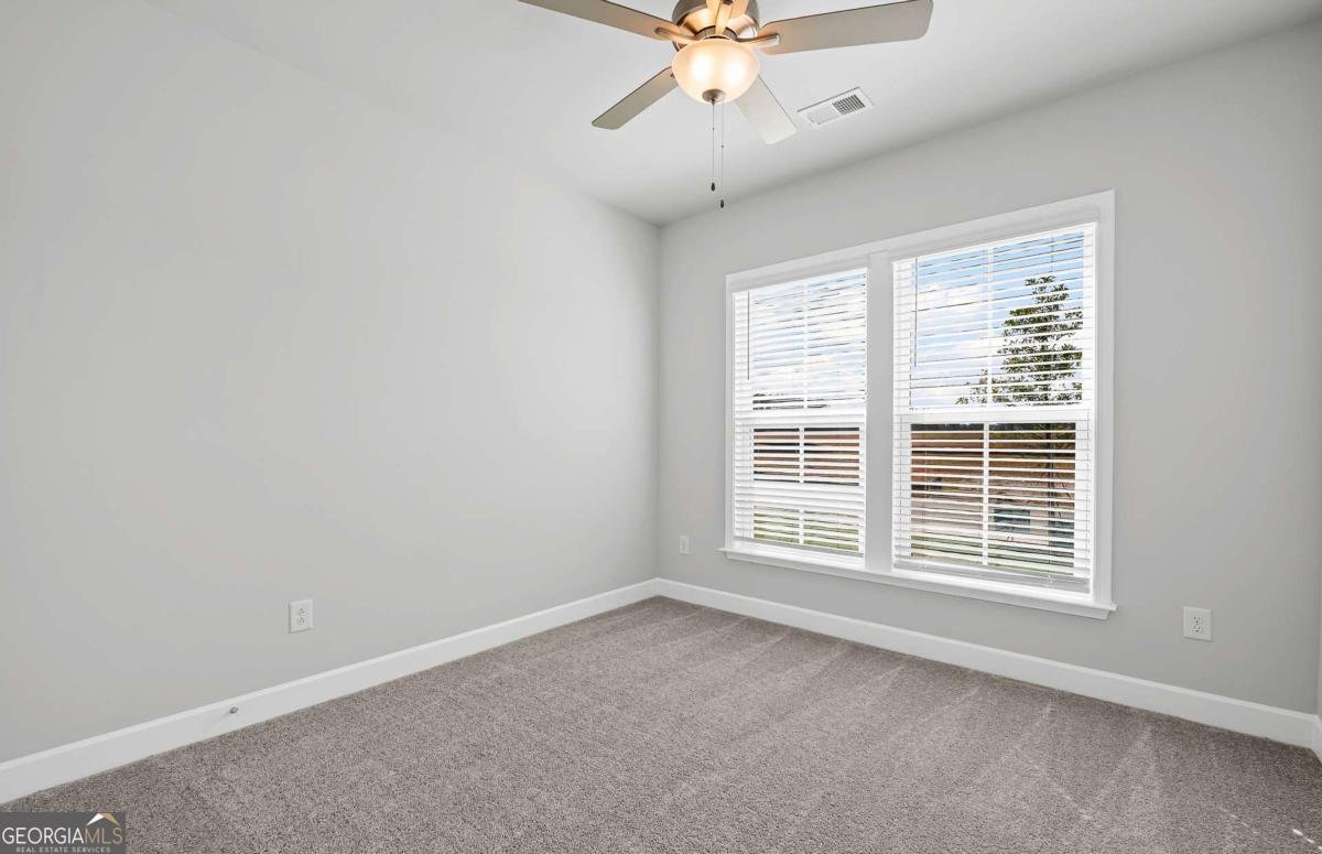 217 Kindness Circle Mcdonough - Photo 13