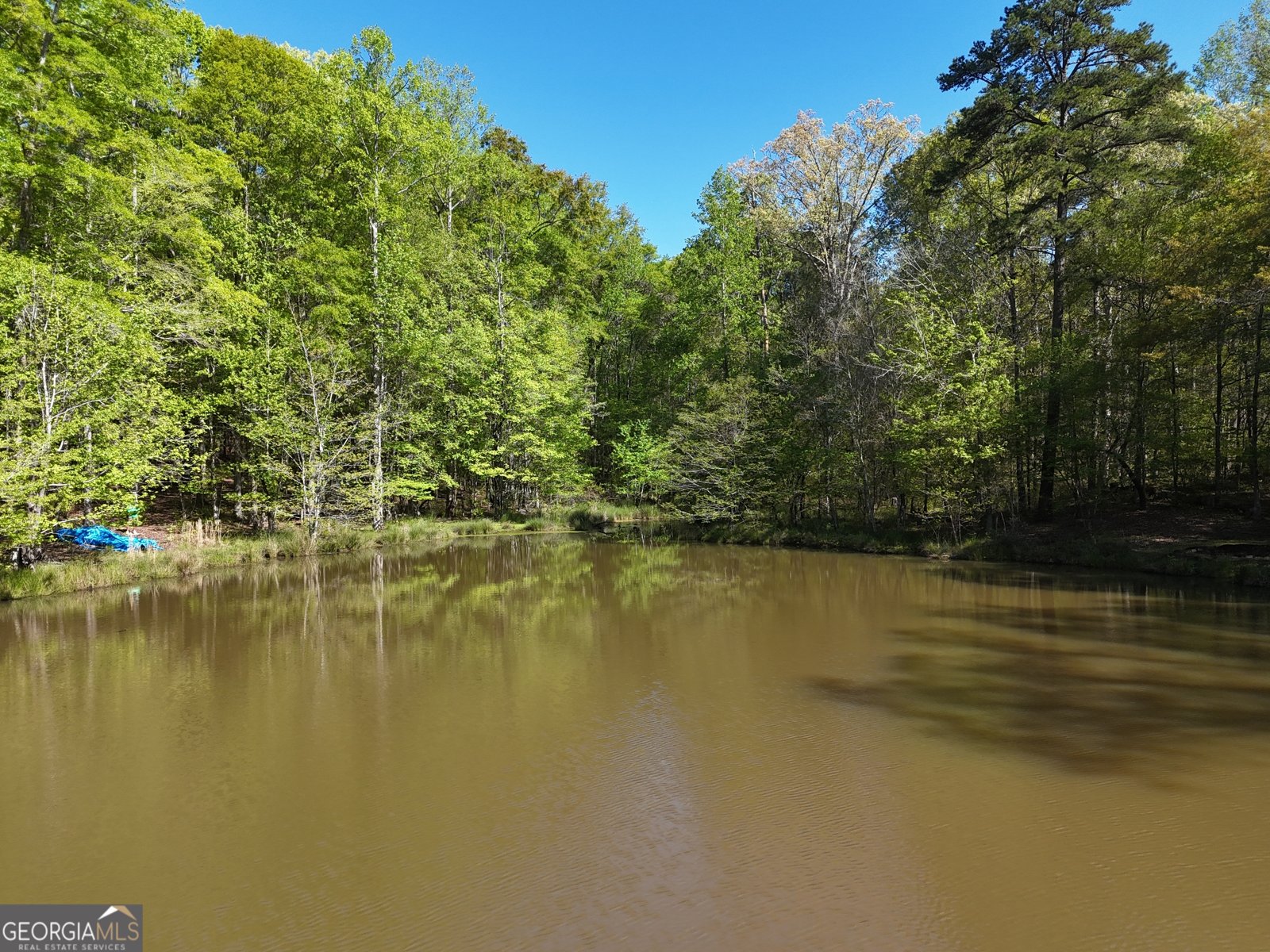 377 Lakeview Drive Newborn - Photo 50