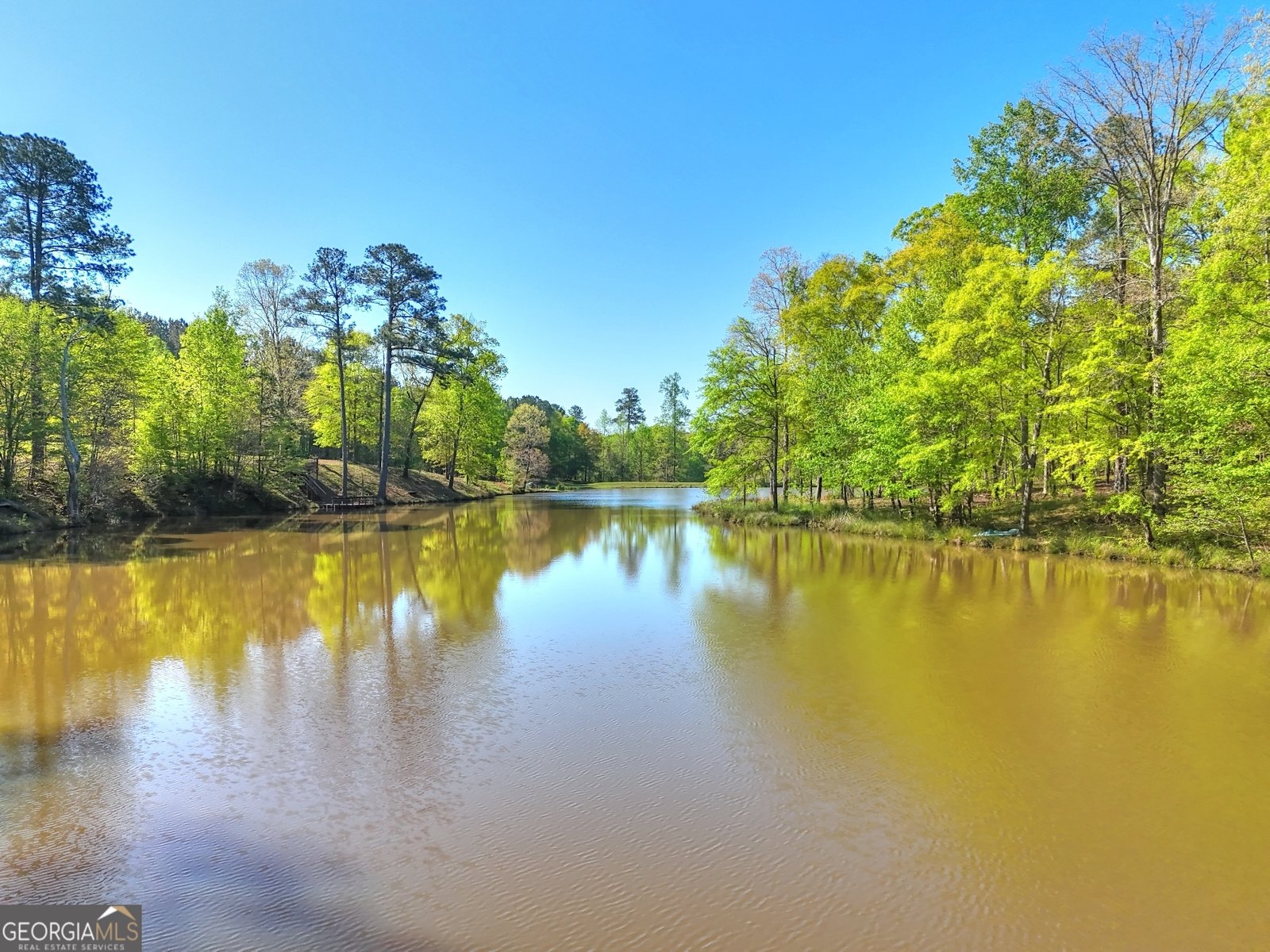 377 Lakeview Drive Newborn - Photo 51
