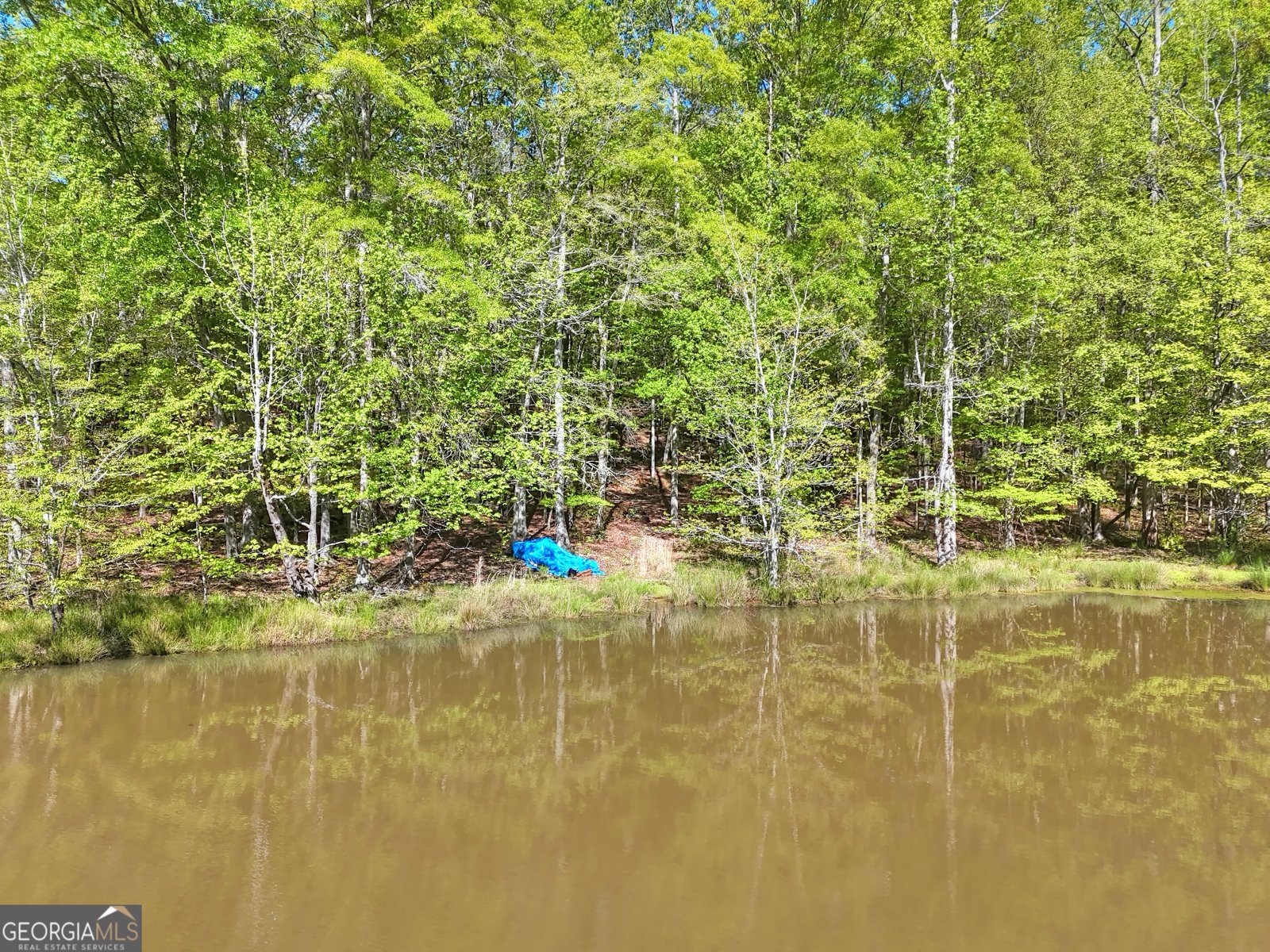 377 Lakeview Drive Newborn - Photo 52