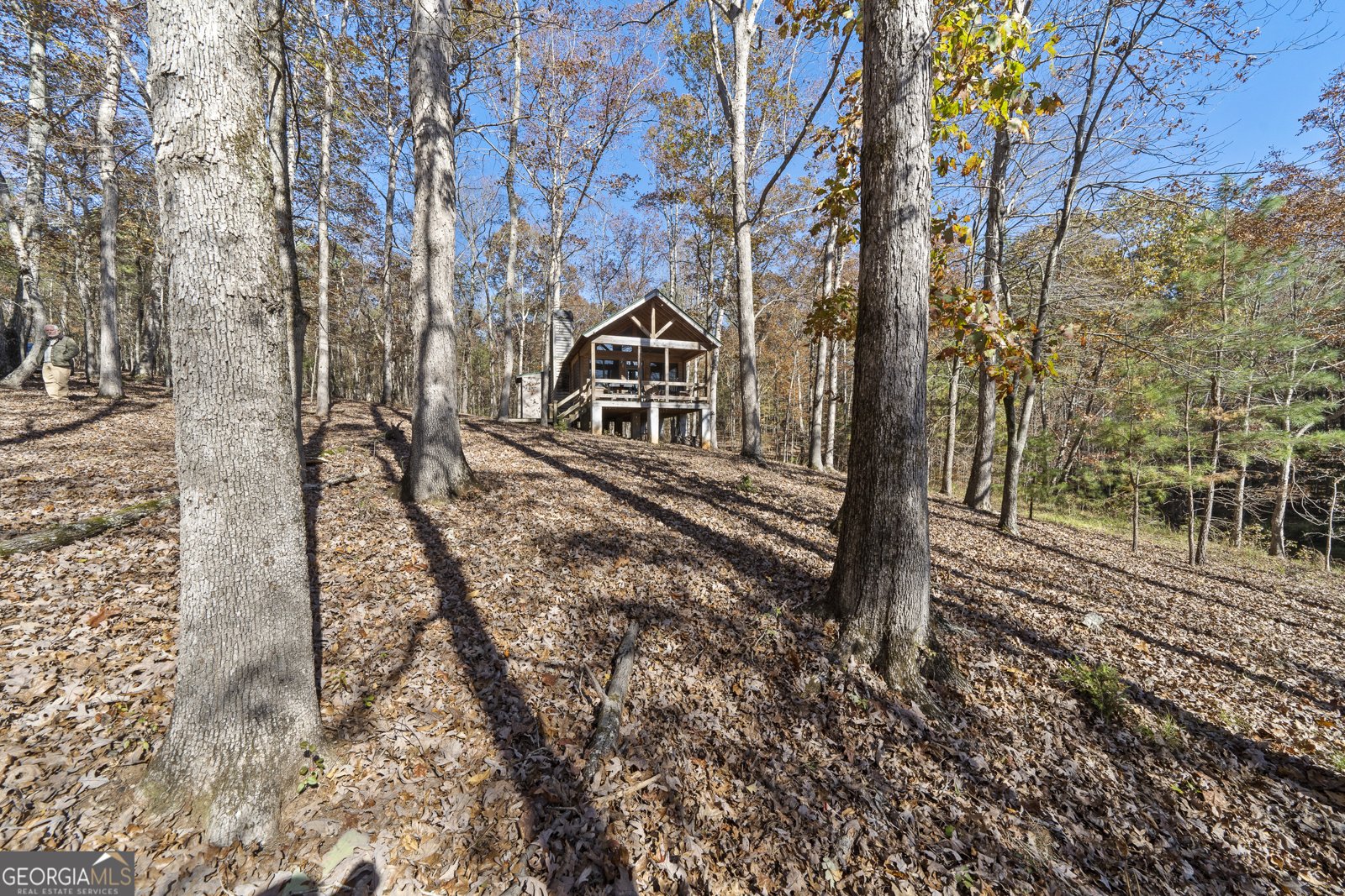 3354 Sandy Creek Road Madison - Photo 39