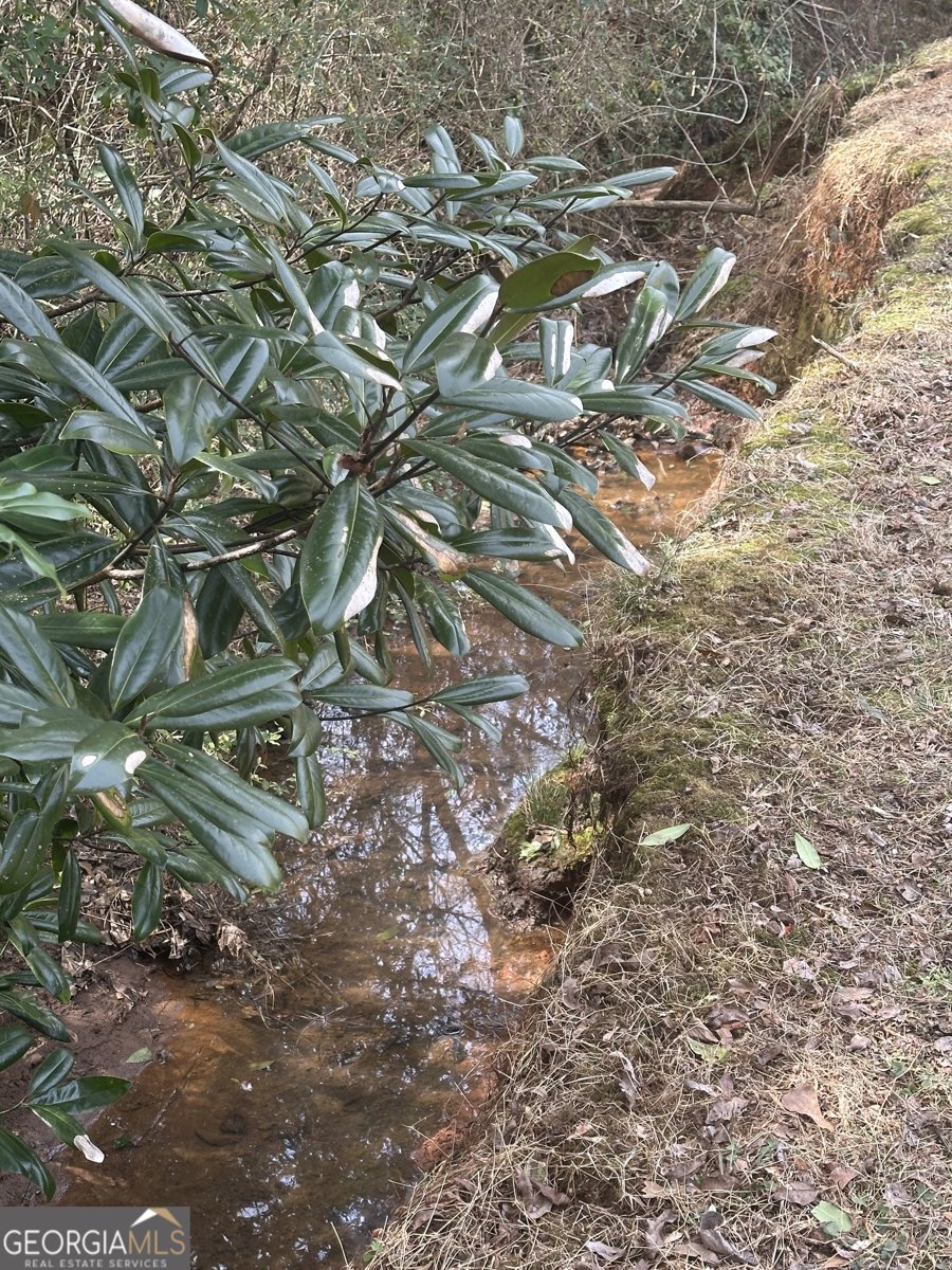 504A Locke Street Palmetto - Photo 24