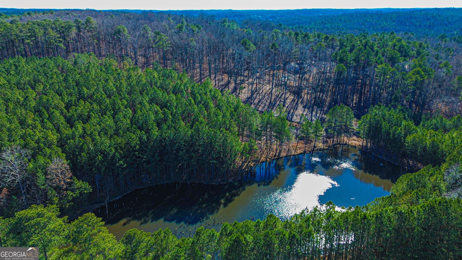 4319 Shamrock Drive South Fulton - Photo 110