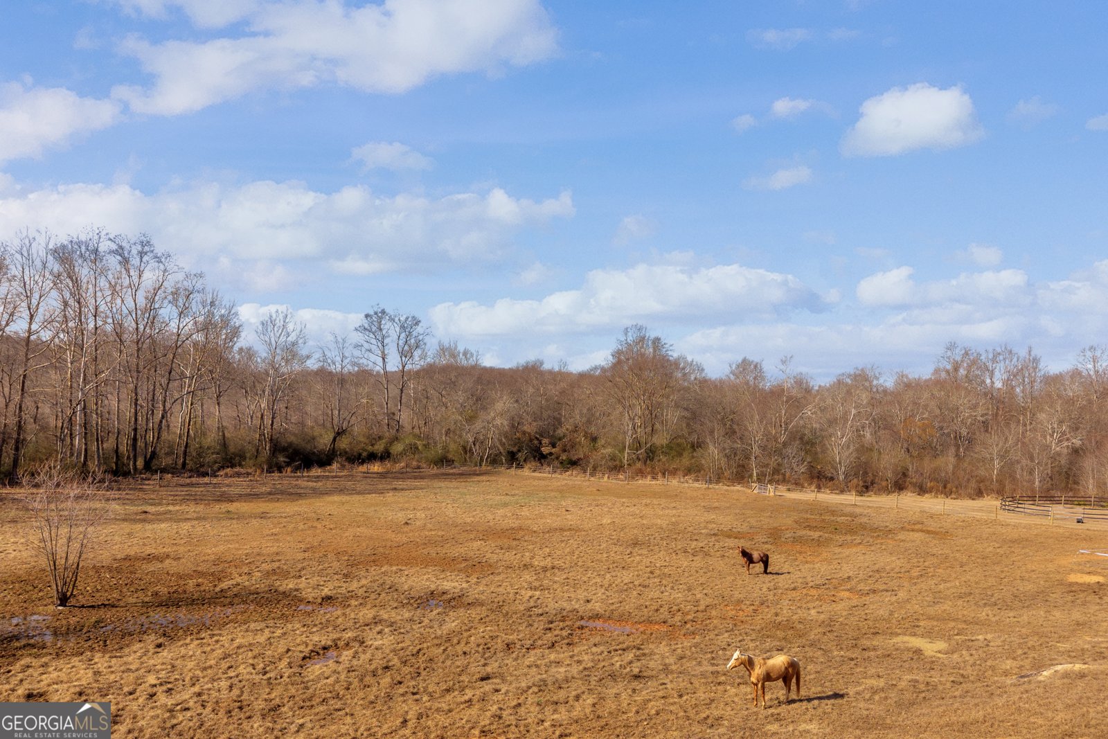249 Hunters Creek Trail Toccoa - Photo 94