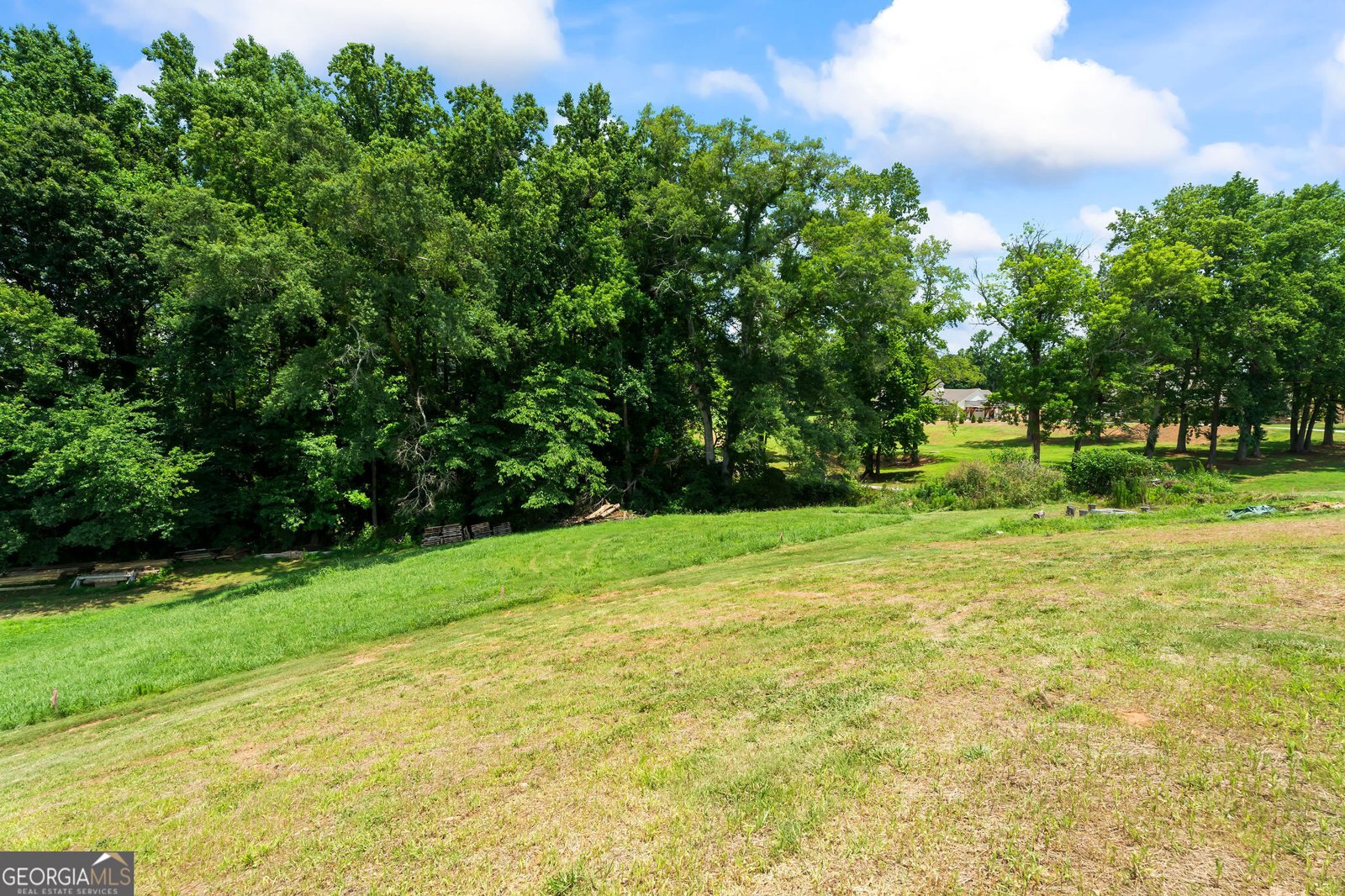 5315 Hendrix Road Cumming - Photo 53