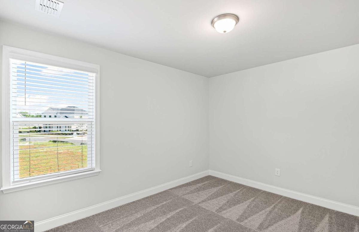 252 Nesta Grove Drive Locust Grove - Photo 24