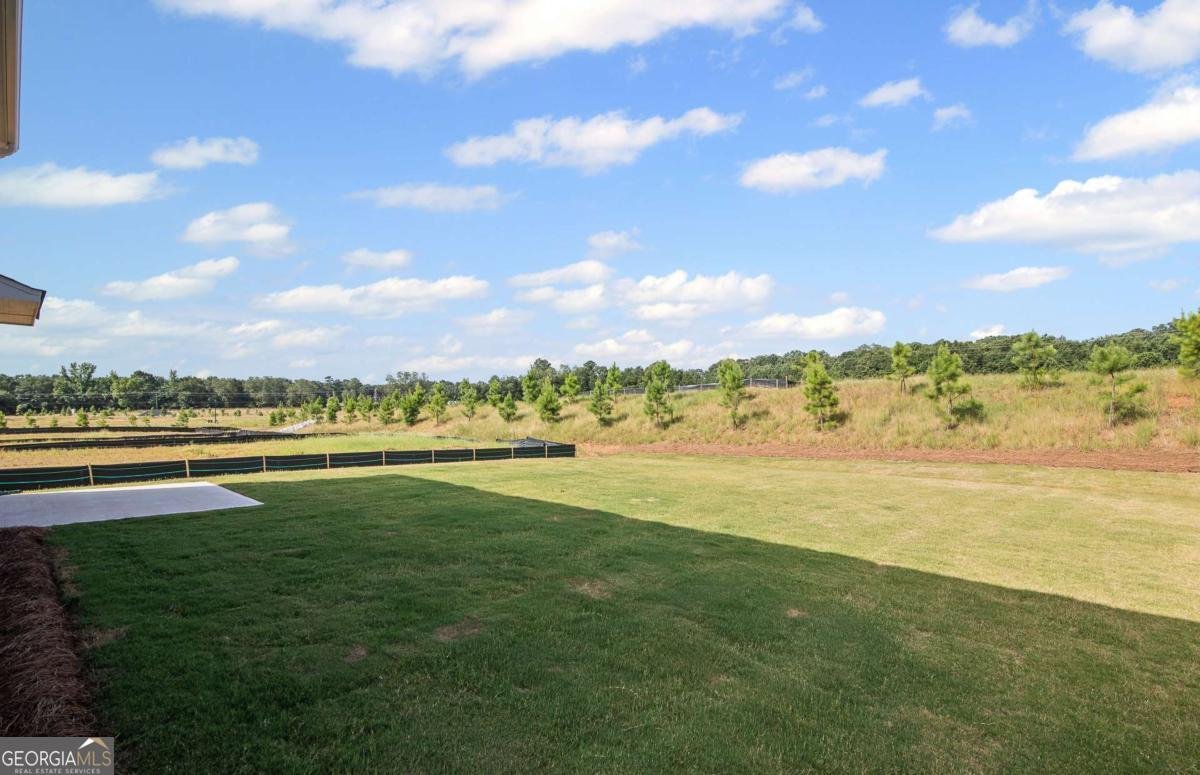 252 Nesta Grove Drive Locust Grove - Photo 36