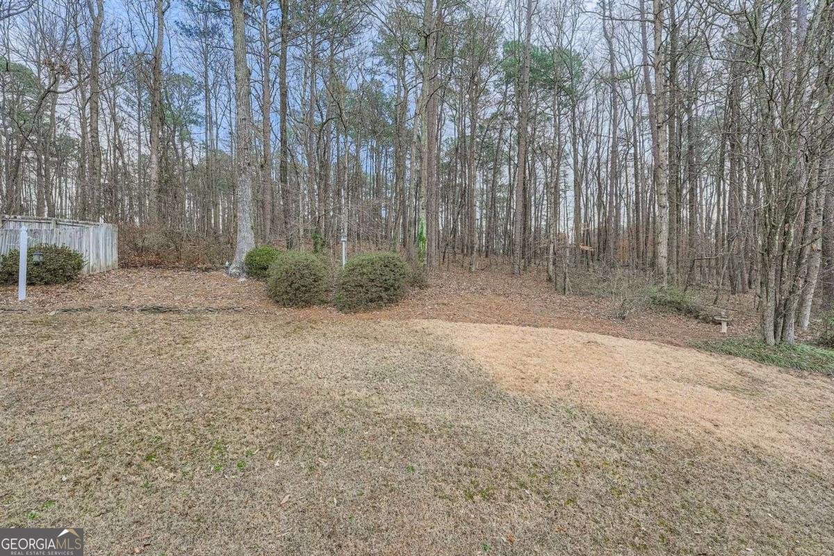 3031 Clove Tree Lane Woodstock - Photo 43