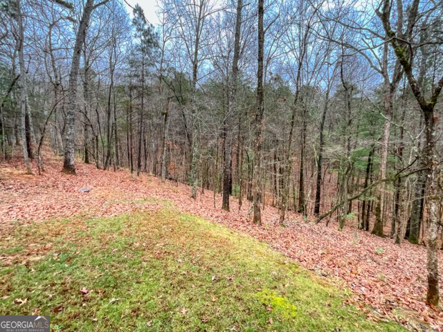 60 Mossy Oak Court Ellijay - Photo 27