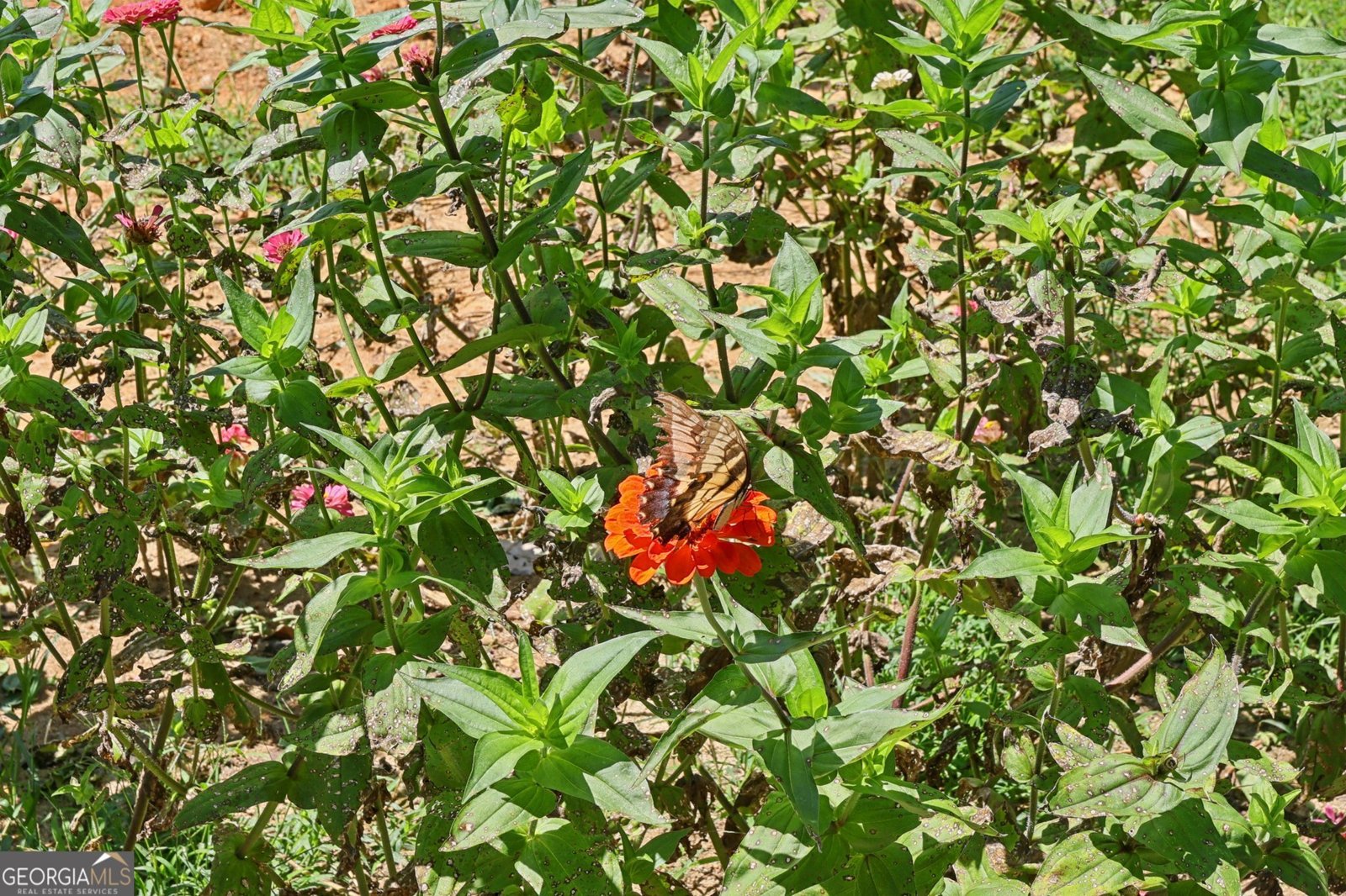 250 Stagecoach Road Oxford - Photo 54