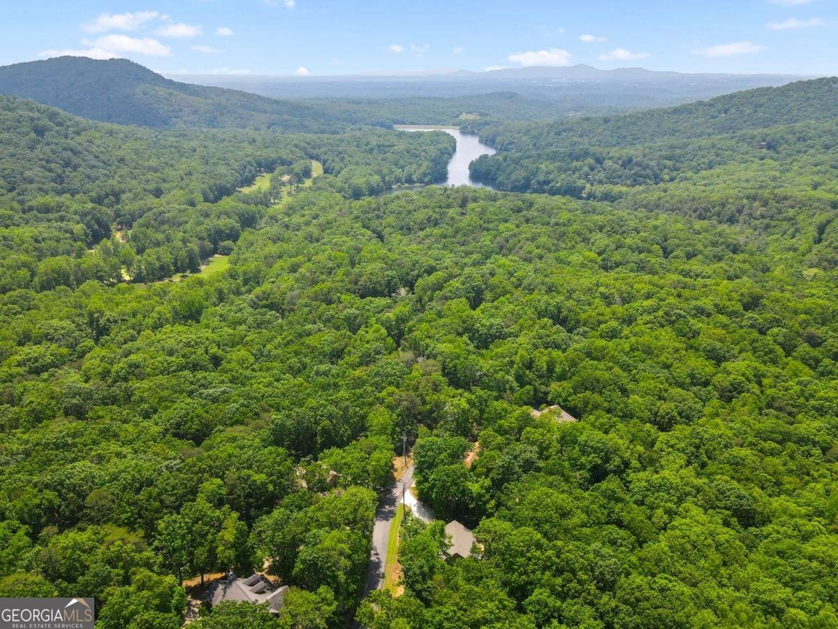 223 Denny Ridge Road Jasper - Photo 31