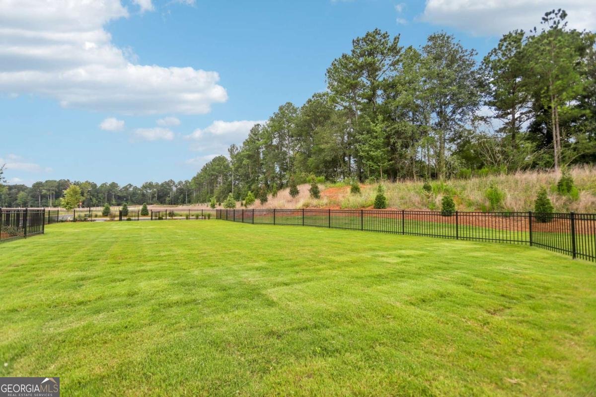 213 Maison Drive Mcdonough - Photo 9