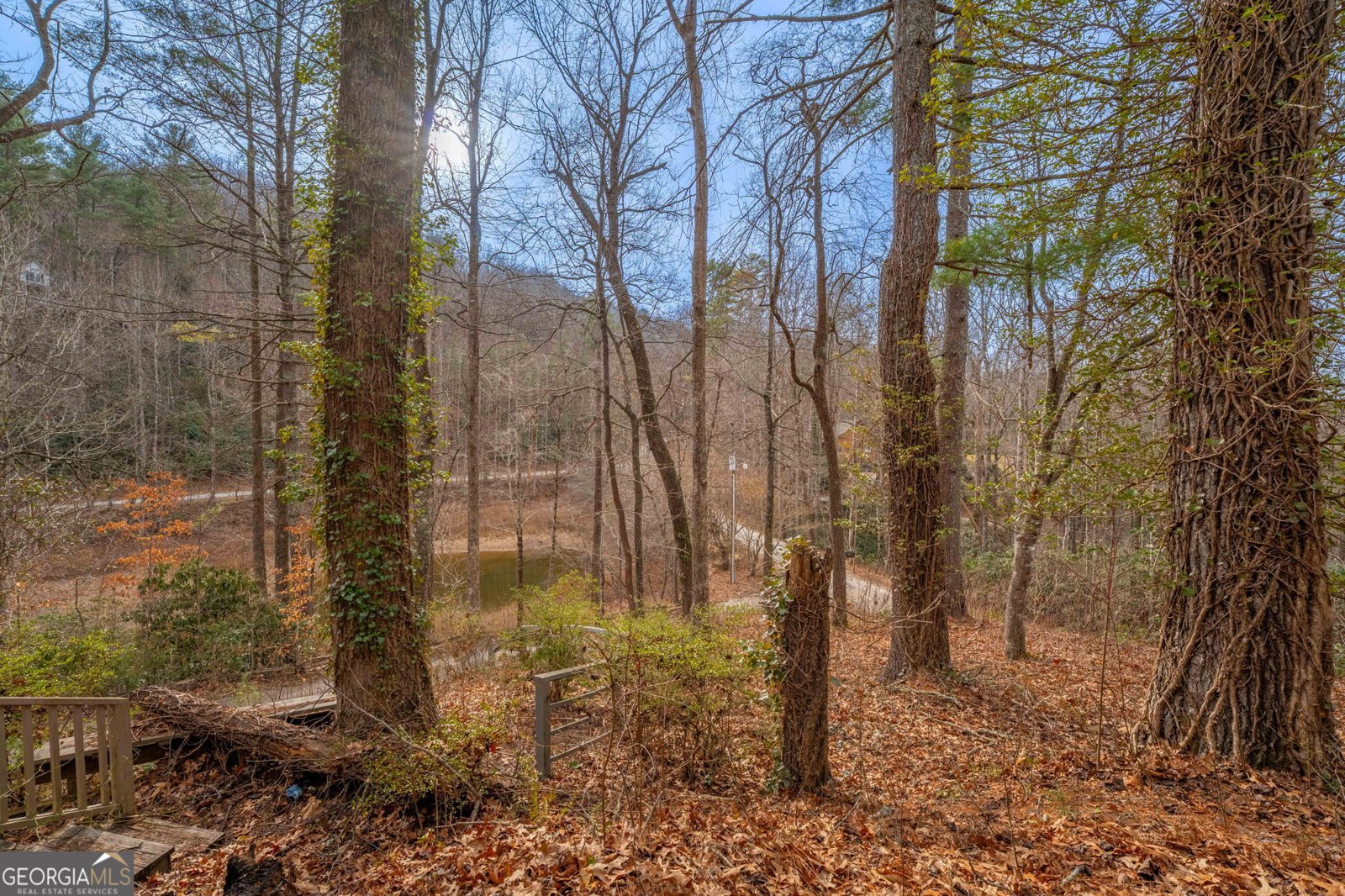 159 Clare Lane Rabun Gap - Photo 35