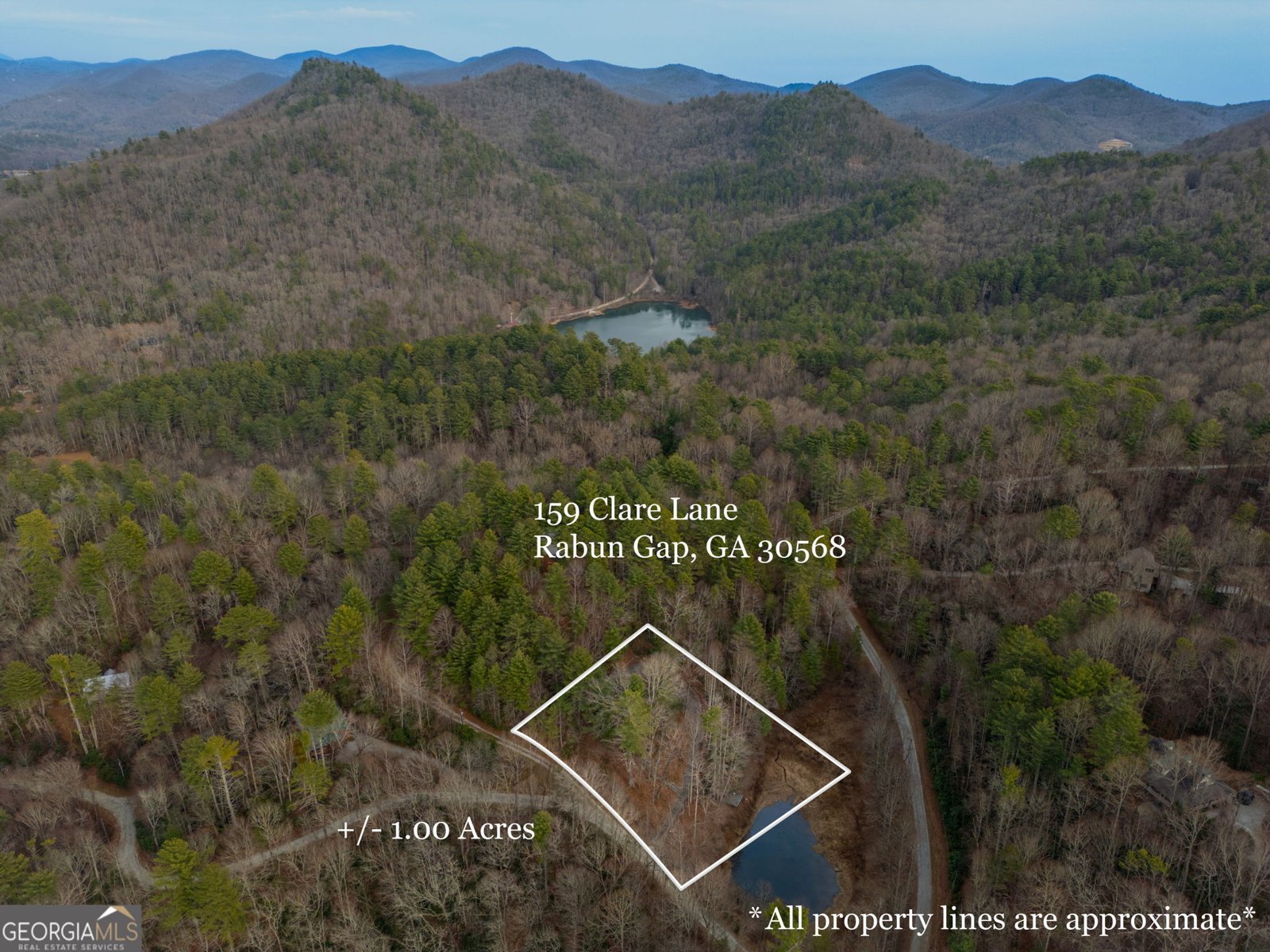 159 Clare Lane Rabun Gap - Photo 41