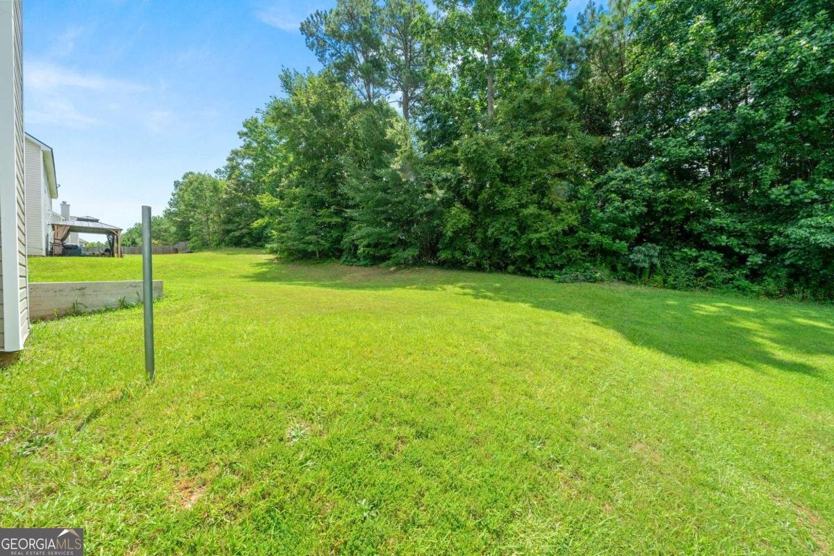 3161 BERTHAS OVERLOOK Douglasville - Photo 34