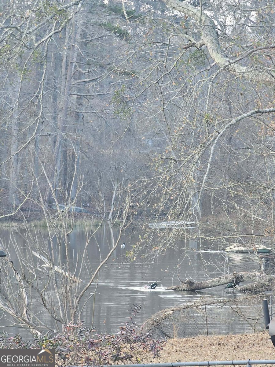 847 Greenwood Lake Drive Franklin - Photo 35