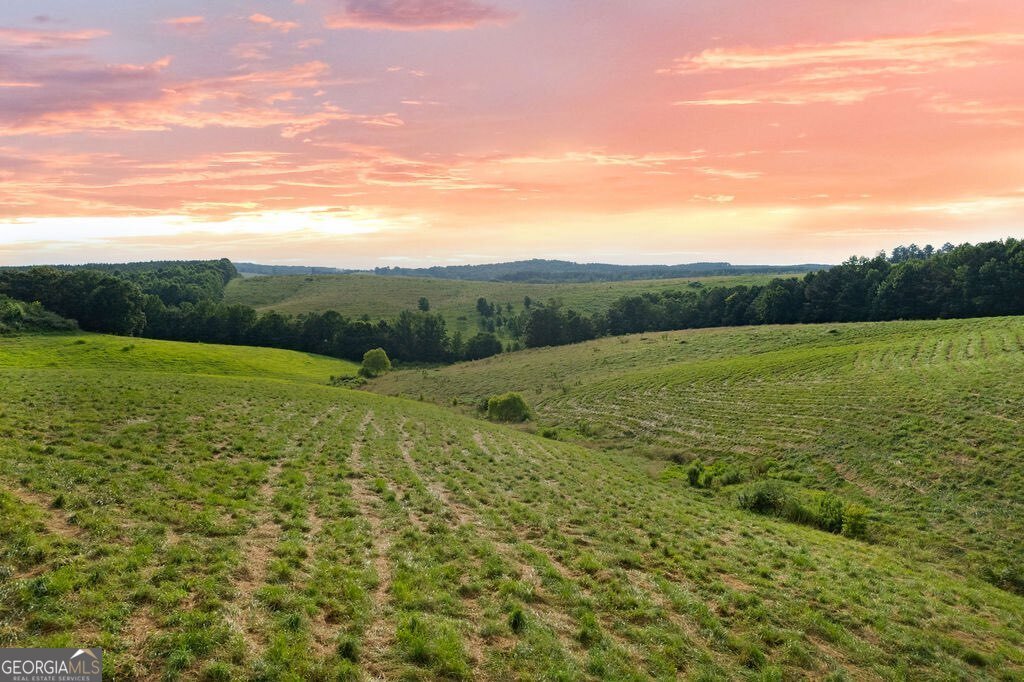 339 Cavender Lane Bowdon - Photo 13