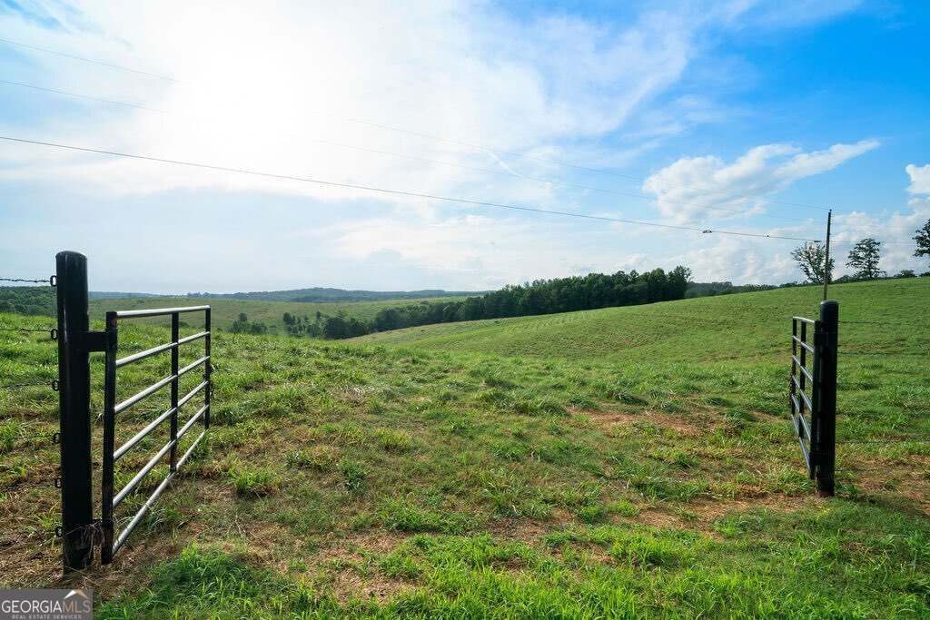 339 Cavender Lane Bowdon - Photo 14