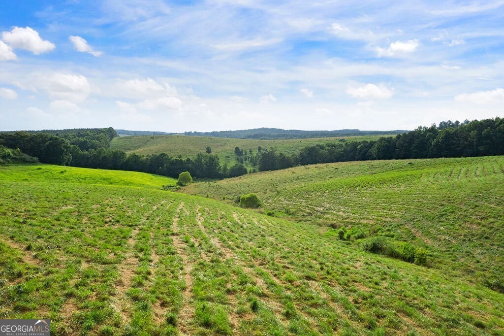 339 Cavender Lane Bowdon - Photo 16