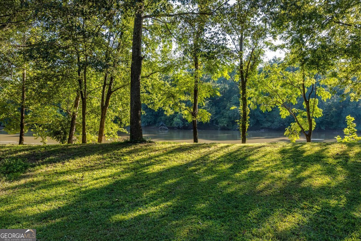 176 Tumbling Shoals Drive Gray - Photo 39