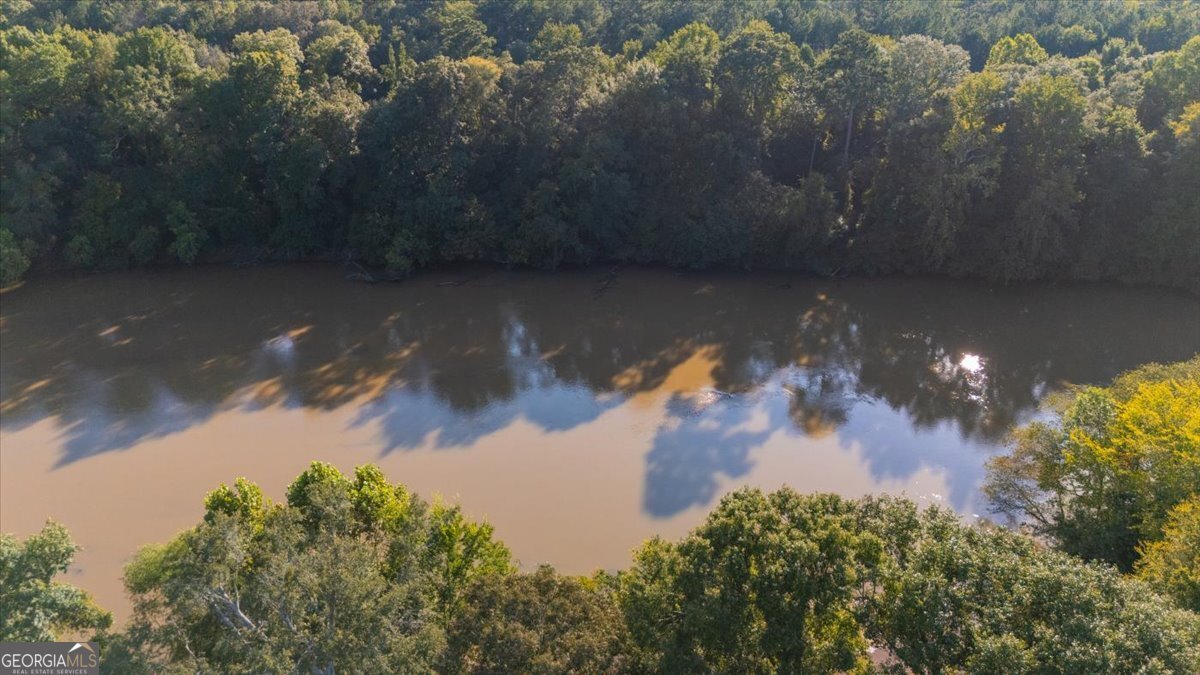 176 Tumbling Shoals Drive Gray - Photo 45